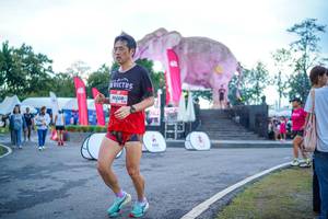 BIB: 
                            <button type="button" onclick="openModal(26551707)" class="btn btn-primary btn-sm float-right btn-popup" data-toggle="modal" data-target=".modal-high-quality">
                        <i class="fas fa-shopping-cart"></i> Add to Cart
                    </button>
                                            <button type="button" onclick="isThisMe(26551707, true)" class="btn btn-success btn-sm float-right btn-popup btn-isme hidden" data-toggle="tooltip" data-placement="bottom" title="นี่คือรูปของคุณใช่ไหม คลิกที่นี่เพื่อเอาเข้าอัลบั้ม">
                        <i class="fas fa-plus"></i> Add to album
                    </button>
                    <button type="button" onclick="isThisMe(26551707, false)" class="btn btn-warning btn-sm float-right btn-popup btn-isnotme hidden">
                        <i class="fas fa-ban"></i> Remove from album
                    </button>